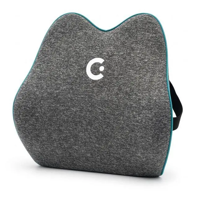 Main image of Cushii V2 Back Support Cushion for Back and Lower Back Pain Relief Universal Fit for Desk, Office, Kitchen Chairs, Couch Cushions with Advanced Lumbar Support