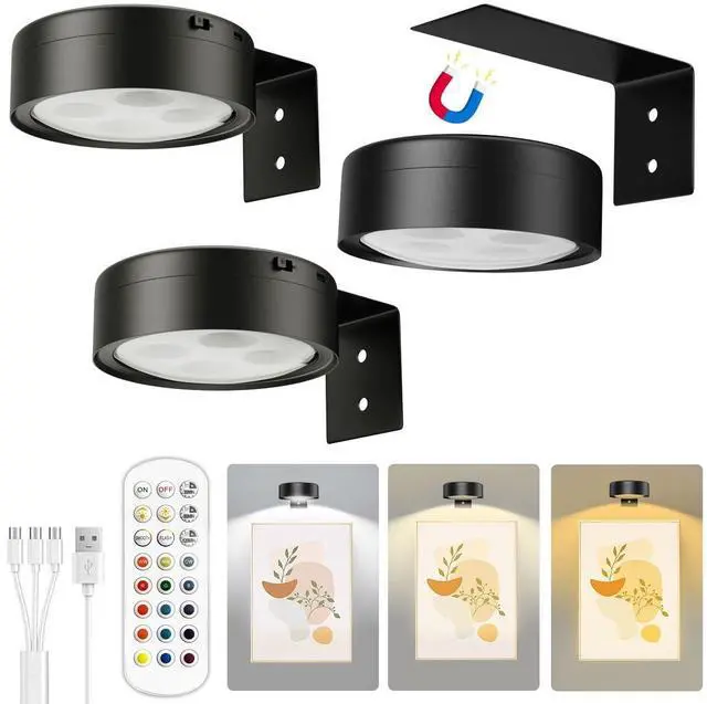 Main image of Picture Lights for Wall,2000mAh Rechargeable Battery Poster Lights LED Magnetic Painting Light with Remote Control,3 Color Temps&12 RGB Timer Dimmable Wall Light for Art Display Wall Decor