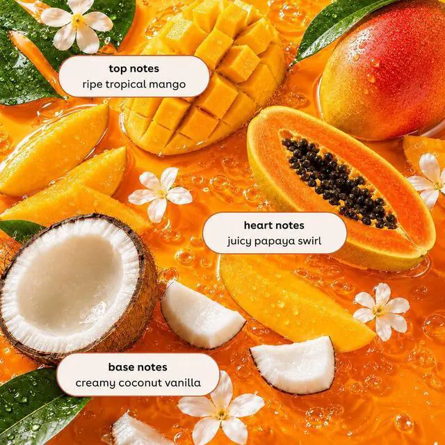 Alt view image 6 of 7 - Botanicals Hand Soap, 16.9oz, Coco Mango | 100% Vegan & Cruelty-Free | Conditioning Liquid Hand Wash for All Skin Types