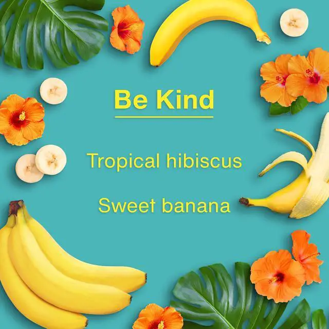 Alt view image 4 of 7 - Car Air Freshener | Hanging Tree Provides Long Lasting Scent for Auto and Home | 24 Air Fresheners |Be Kind