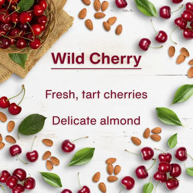 Alt view image 4 of 7 - Car Air Freshener | Hanging Tree Provides Long Lasting Scent for Auto and Home | 24 Air Fresheners |Wild Cherry