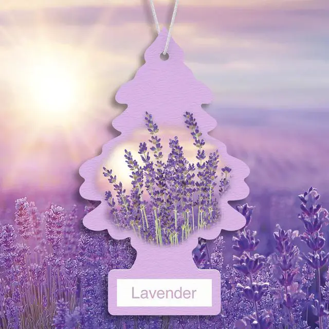 Alt view image 3 of 7 - Car Air Freshener | Hanging Tree Provides Long Lasting Scent for Auto and Home | 24 Air Fresheners |Lavender