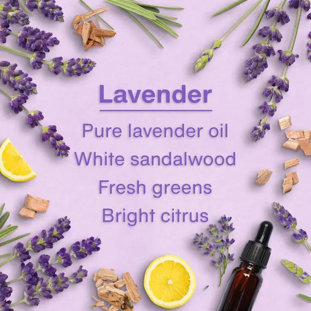 Alt view image 4 of 7 - Car Air Freshener | Hanging Tree Provides Long Lasting Scent for Auto and Home | 24 Air Fresheners |Lavender