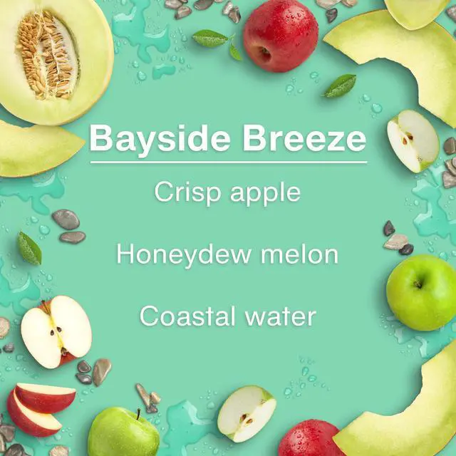 Alt view image 4 of 7 - Car Air Freshener | Hanging Tree Provides Long Lasting Scent for Auto and Home | 24 Air Fresheners |Bayside Breeze