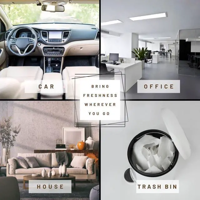 Alt view image 5 of 6 - 250 Count Unwrapped Automobile Professional Use Air Fresheners Car and Truck Detail (Nu Car)
