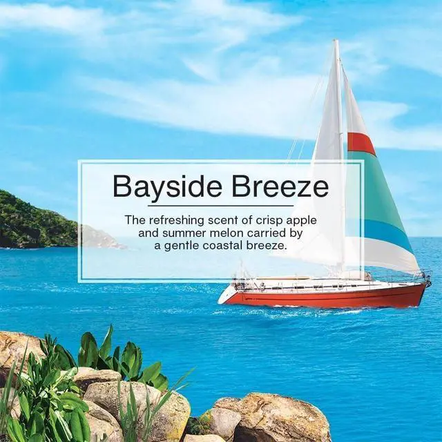 Alt view image 5 of 7 - Cardboard Hanging Car, Home & Office Air Freshener, Bayside Breeze (Pack of 6)