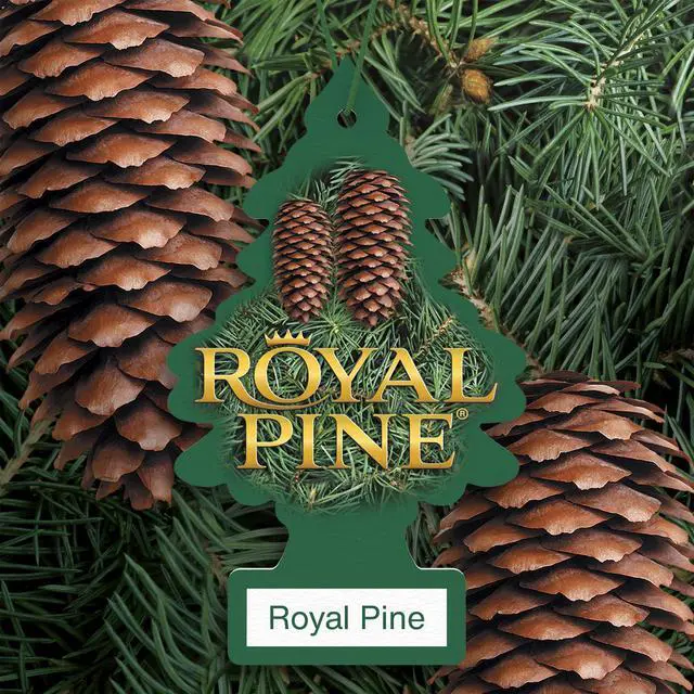 Alt view image 3 of 7 - Car Air Freshener | Hanging Tree Provides Long Lasting Scent for Auto and Home | Royal Pine, 24 Air Fresheners