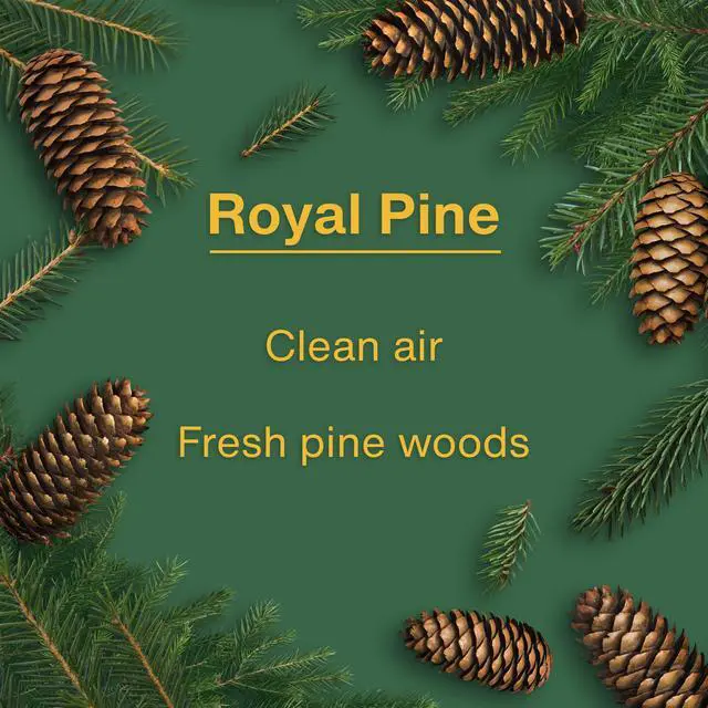 Alt view image 4 of 7 - Car Air Freshener | Hanging Tree Provides Long Lasting Scent for Auto and Home | Royal Pine, 24 Air Fresheners