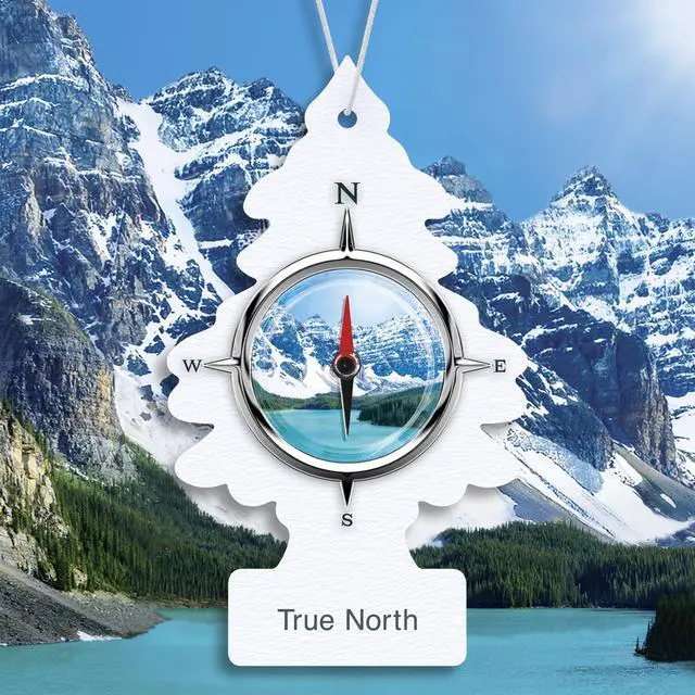 Alt view image 3 of 7 - Car Air Freshener | Hanging Tree Provides Long Lasting Scent for Auto and Home | 24 Air Fresheners |True North