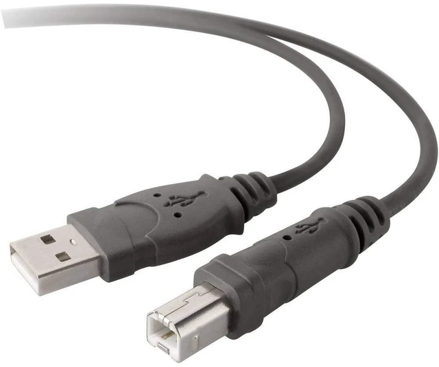 Main image of Premium Printer Cables Cable10 Ft4 Pin USB Type B to 4 Pin USB Type A, Black (F3U154BT3M)