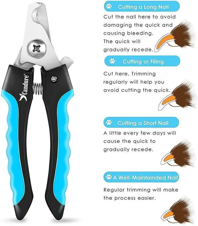 Alt view image 6 of 7 - Dog Nail Clippers and Trimmer with Safety Guard to Avoid Over-Cutting Toe Nails, Professional Grooming Pet Nail Clipper with Nail File for Small, Medium & Large Breeds