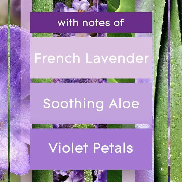 Alt view image 3 of 7 - Automatic Spray Refill, Air Freshener for Home and Bathroom, Tranquil Lavender & Aloe, 6.2 Oz, 3 Count
