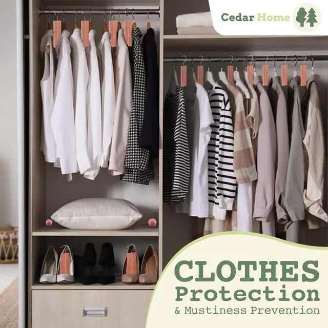 Alt view image 6 of 7 - Cedar Hyde Cedar Blocks for Clothes Storage | Cedar Hang Ups & Cedar Balls | Dresser Drawer Freshener Odor Eliminator | 22 Pieces, 12 Cedar Hang Ups & Bonus 10 Cedar Balls | U.S.A Seller
