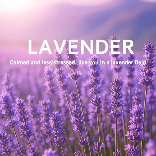 Alt view image 7 of 7 - 15 Packs Lavender Scented Sachets Bag for Drawers and Closets, Home Fragrance Sachet, Long-Lasting Hanging Closet Deodorizer Smell Goods for House
