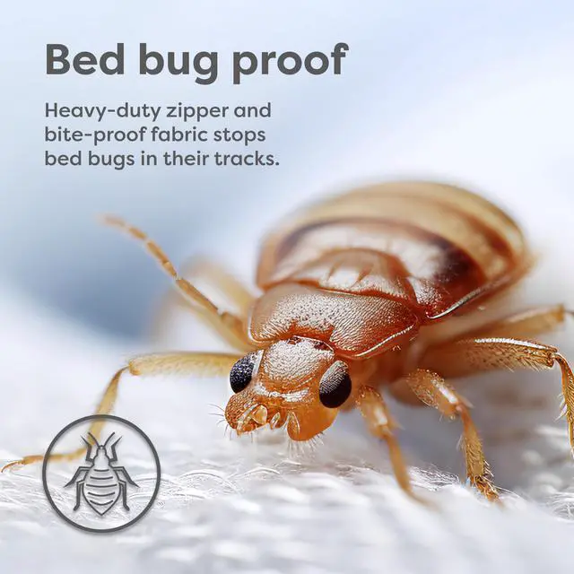 Alt view image 4 of 7 - Mattress Encasement - Zippered Bed Bug Dust Mite Proof Hypoallergenic - Sleep Defense System - Queen - Waterproof - Stretchable - Standard 12" Depth - 60" W x 80" L