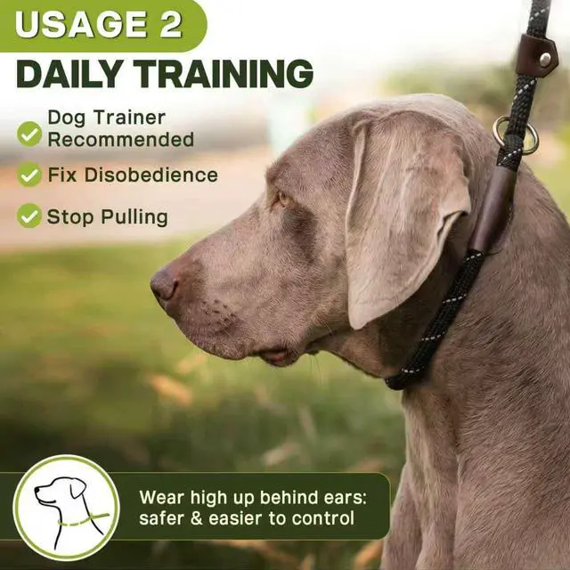 Alt view image 5 of 7 - Durable Slip Lead Dog Leash, 6 FT x 1/2" Heavy Duty Dog Loop Leashes, Comfortable Strong Rope Slip Leash for Large Medium Dogs, No Pull Pet Training Lead with Highly Reflective(1/2", Black)