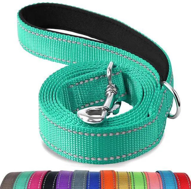 Main image of Reflective Dog Leash for Medium & Large Dogs, 6 FT x 1", Turquoise