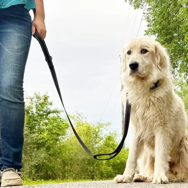 Alt view image 7 of 7 - Dog Leash for Large Dogs that Pull, Double Handle, 6FT, Black
