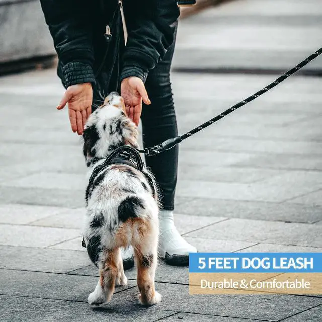 Alt view image 5 of 5 - 2/4/5/6 FT Dog Leash with Comfortable Padded Handle and Highly Reflective Threads for Small Medium and Large Dogs (5FT-1/2'', Black)