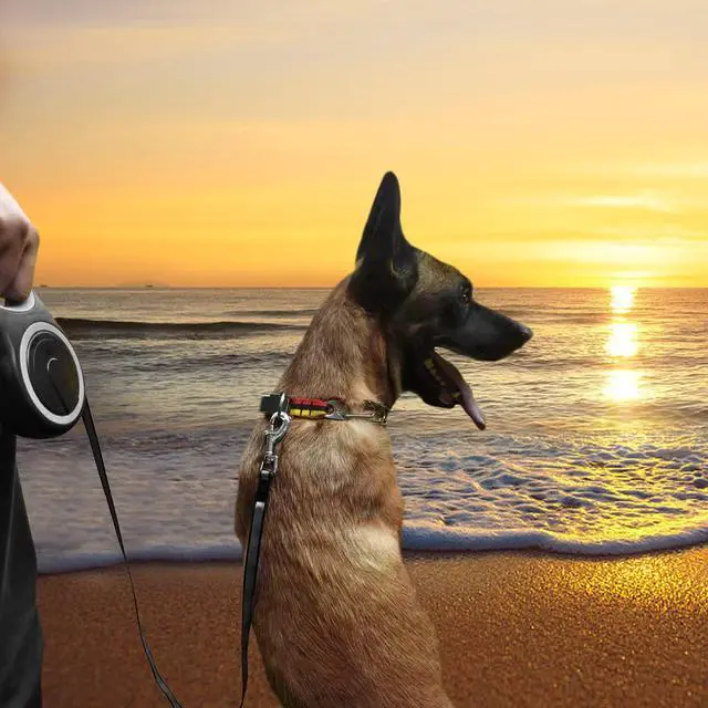 Alt view image 6 of 6 - 26Ft Retractable Dog Leash, Heavy Duty Great Leash for Dog up to 110 lbs, Anti-Slip Rubberized Handle, One-Handed Brake, Strong Nylon Tape, Tangle Free(Large Size).