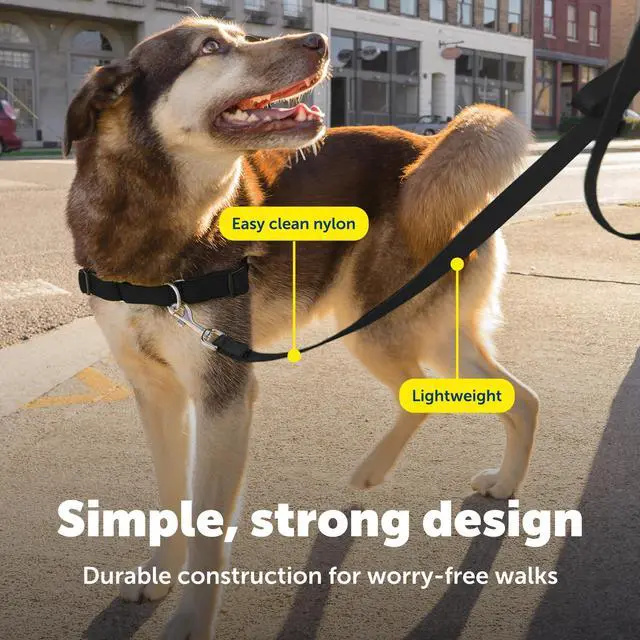 Alt view image 4 of 7 - Nylon Dog Leash - Strong, Durable, Traditional Style Leash with Easy to Use Bolt Snap - 3/8 in. x 6 ft., Black