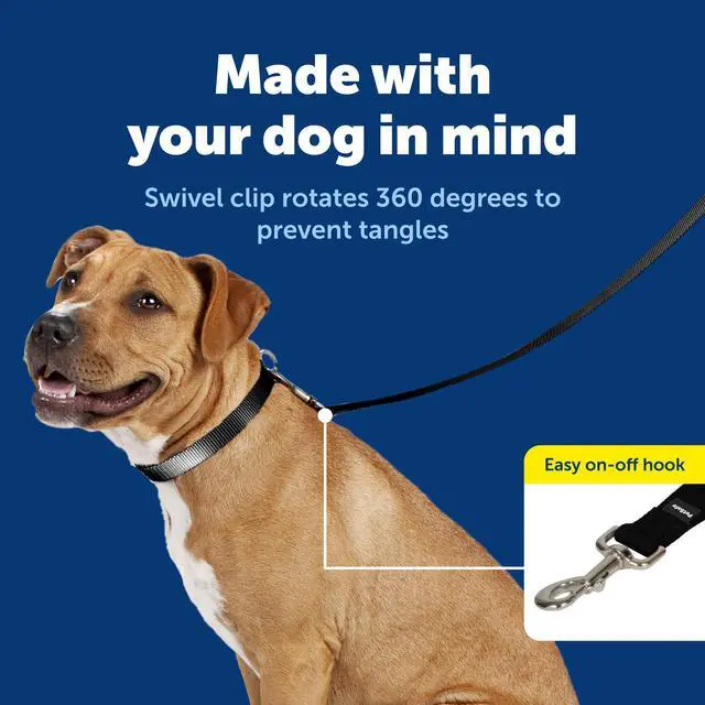 Alt view image 3 of 7 - Nylon Dog Leash - Strong, Durable, Traditional Style Leash with Easy to Use Bolt Snap - 3/8 in. x 6 ft., Black