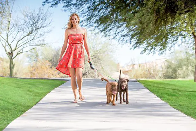 Alt view image 2 of 4 - Two Dog Reflective Retractable Pet Leash 360 Degree Zero Tangle Patent - Two Dogs Each up to 50 lbs and 10ft. Reflective Orange and Green Leads. Dual locking
