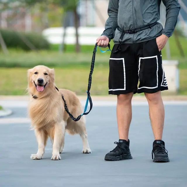 Alt view image 7 of 7 - Hands Free Dog Leash with Zipper Pouch, Large, 25-120 lbs, Black