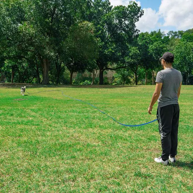 Alt view image 7 of 7 - Dog/Puppy Obedience Recall Training Agility Lead/Leash - 15ft 20ft 30ft 50ft 100ft - Great for Play, Camping, or Backyard - Black