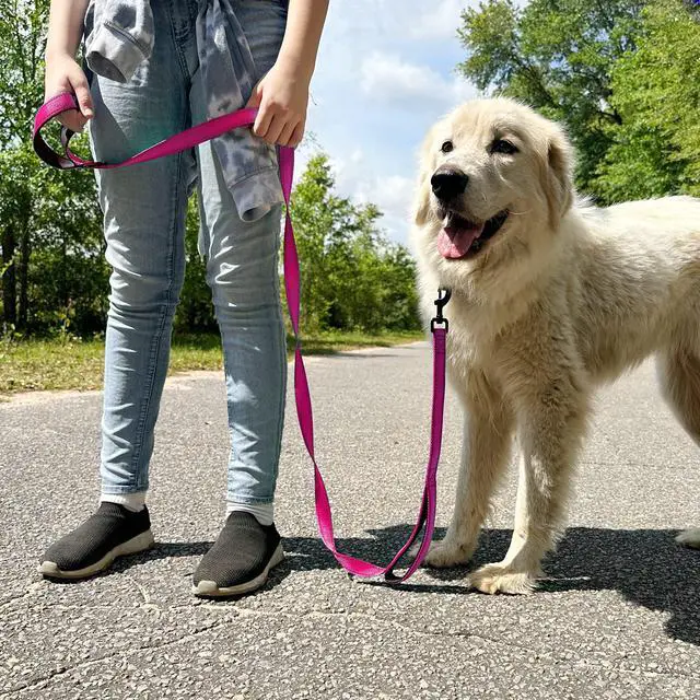Alt view image 7 of 7 - Dog Leash for Large Dogs that Pull, Double Handle, 6FT, Hot Pink