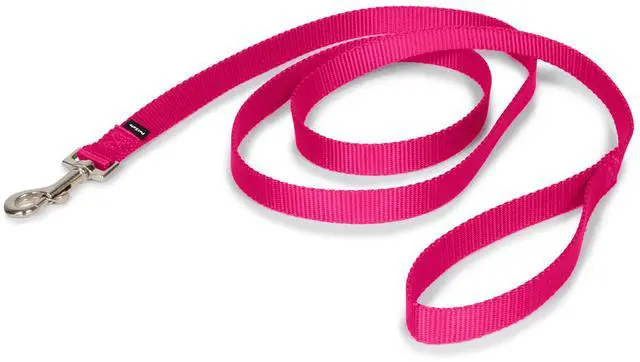 Main image of Nylon Dog Leash - Strong, Durable, Traditional Style Leash with Easy to Use Bolt Snap - 3/4 in. x 6 ft., Raspberry Pink