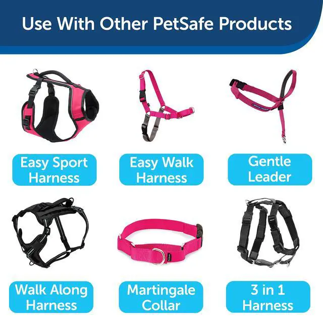 Alt view image 5 of 5 - Nylon Dog Leash - Strong, Durable, Traditional Style Leash with Easy to Use Bolt Snap - 3/4 in. x 6 ft., Raspberry Pink