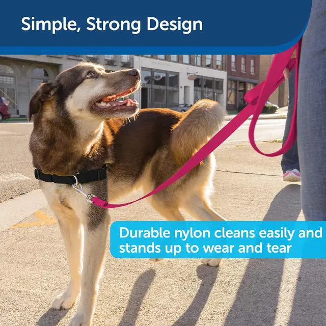 Alt view image 4 of 5 - Nylon Dog Leash - Strong, Durable, Traditional Style Leash with Easy to Use Bolt Snap - 3/4 in. x 6 ft., Raspberry Pink
