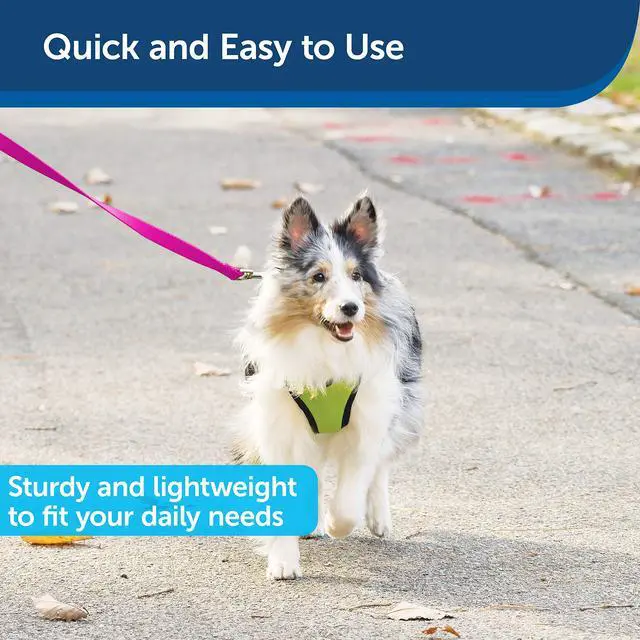 Alt view image 3 of 5 - Nylon Dog Leash - Strong, Durable, Traditional Style Leash with Easy to Use Bolt Snap - 3/4 in. x 6 ft., Raspberry Pink