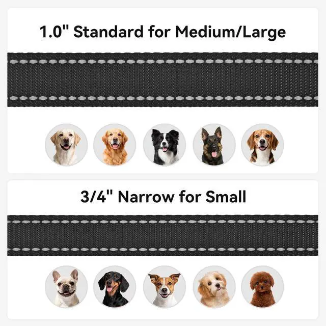 Alt view image 6 of 6 - Reflective Dog Leash for Medium & Large Dogs, 6 FT x 1", Black