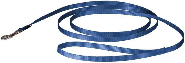 Main image of Nylon Dog Leash - Strong, Durable, Traditional Style Leash with Easy to Use Bolt Snap - 3/8 in. x 6 ft., Royal Blue