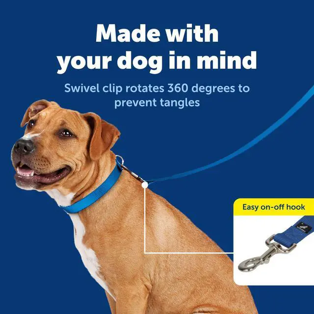 Alt view image 3 of 7 - Nylon Dog Leash - Strong, Durable, Traditional Style Leash with Easy to Use Bolt Snap - 3/8 in. x 6 ft., Royal Blue