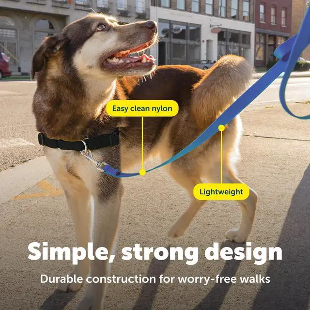 Alt view image 4 of 7 - Nylon Dog Leash - Strong, Durable, Traditional Style Leash with Easy to Use Bolt Snap - 3/8 in. x 6 ft., Royal Blue