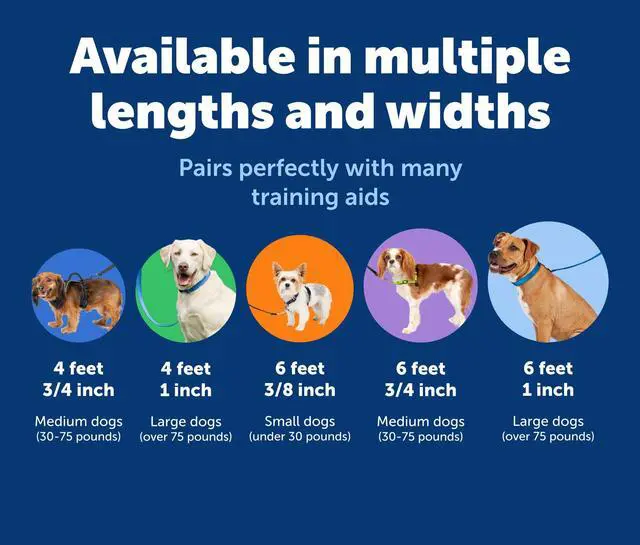 Alt view image 5 of 7 - Nylon Dog Leash - Strong, Durable, Traditional Style Leash with Easy to Use Bolt Snap - 3/8 in. x 6 ft., Royal Blue