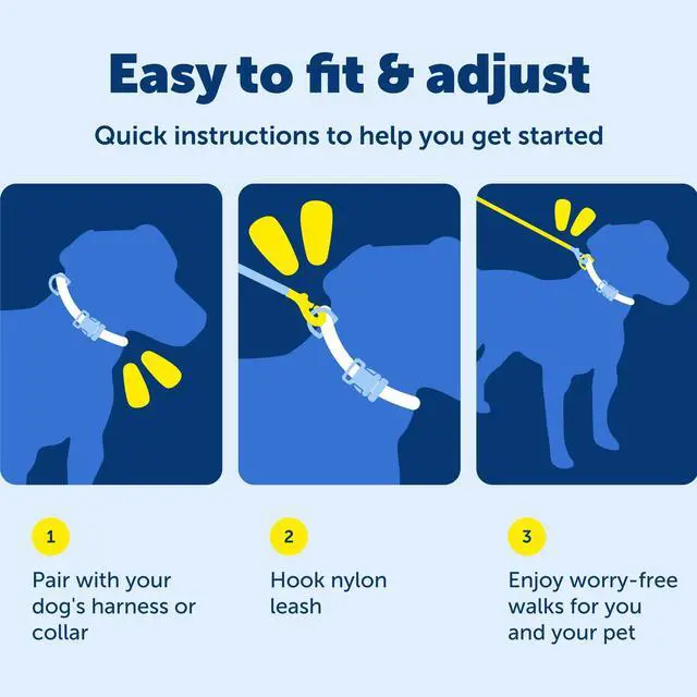 Alt view image 6 of 7 - Nylon Dog Leash - Strong, Durable, Traditional Style Leash with Easy to Use Bolt Snap - 3/8 in. x 6 ft., Royal Blue