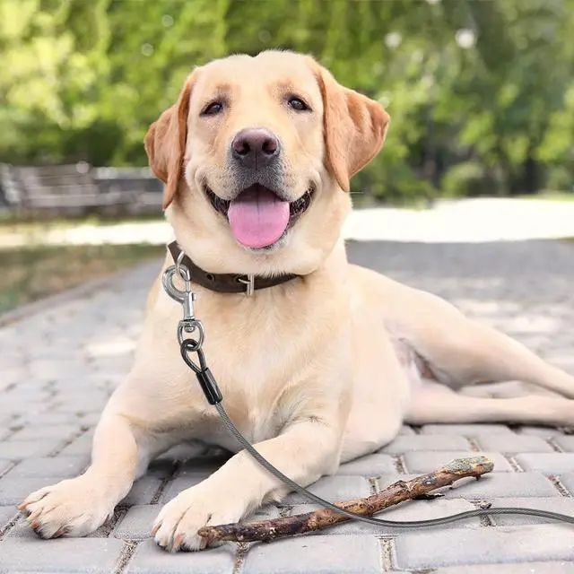 Alt view image 2 of 7 - Dog Tie Out Cable 25 Feet - Heavy Duty Dog Lead Up to 250 Pounds - Reflective & Rust-Free with Quick Release Swivel Clips & 360° Rotating Clasp - Tangle-Free Dogs Runner for Yard (Grey, Single)