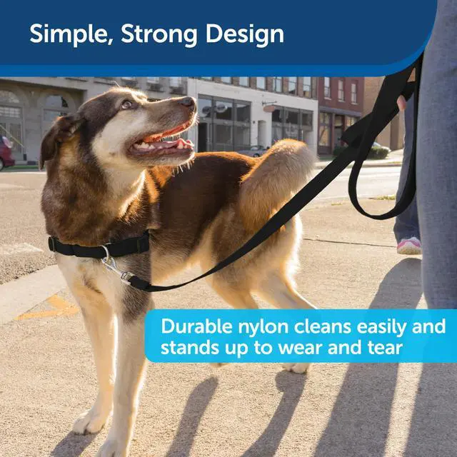 Alt view image 4 of 6 - Nylon Dog Leash - Strong, Durable, Traditional Style Leash with Easy to Use Bolt Snap - 1 in. x 6 ft., Black