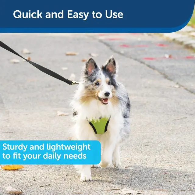Alt view image 3 of 6 - Nylon Dog Leash - Strong, Durable, Traditional Style Leash with Easy to Use Bolt Snap - 1 in. x 6 ft., Black