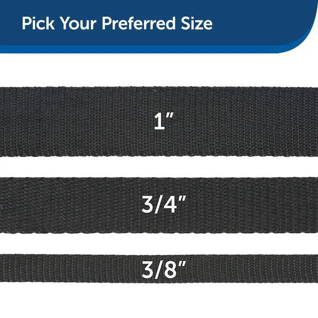 Alt view image 5 of 6 - Nylon Dog Leash - Strong, Durable, Traditional Style Leash with Easy to Use Bolt Snap - 1 in. x 6 ft., Black