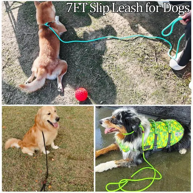 Alt view image 7 of 7 - Slip Lead Control Leash for Dogs No Pull, 13+ Colors Classic Dog Lead 7 FT Pet Slip Leash, 1/4 Rope Leashes for Small Medium Animals (7ft*1/4", Black)