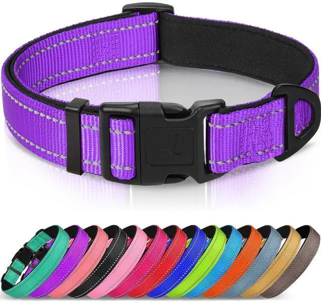 Main image of Reflective Dog Collar, Adjustable Neoprene Padded, Purple M