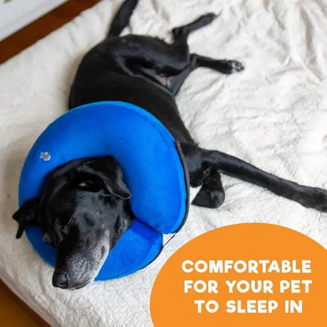 Alt view image 6 of 6 - Inflatable Dog Cone Collar Alternative After Surgery Large, Blue