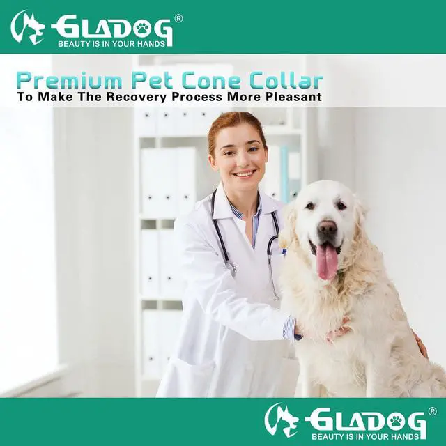 Alt view image 6 of 6 - Soft Dog Cone Collar 3 Similar Sizes per Set (S/M/L) for Better Fit, XL Single Size Cone for Dogs to Stop Licking, Adjustable E Collar for Dogs After Surgery, Elizabethan Collar for Dog