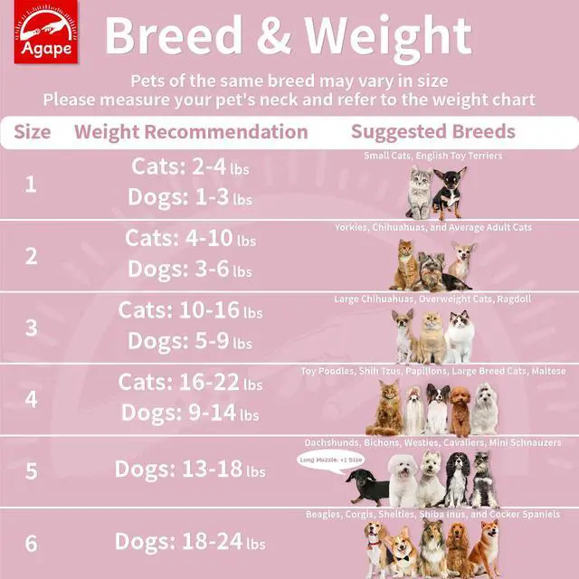 Alt view image 3 of 6 - Soft Dog Cone for Small Dogs & Cats