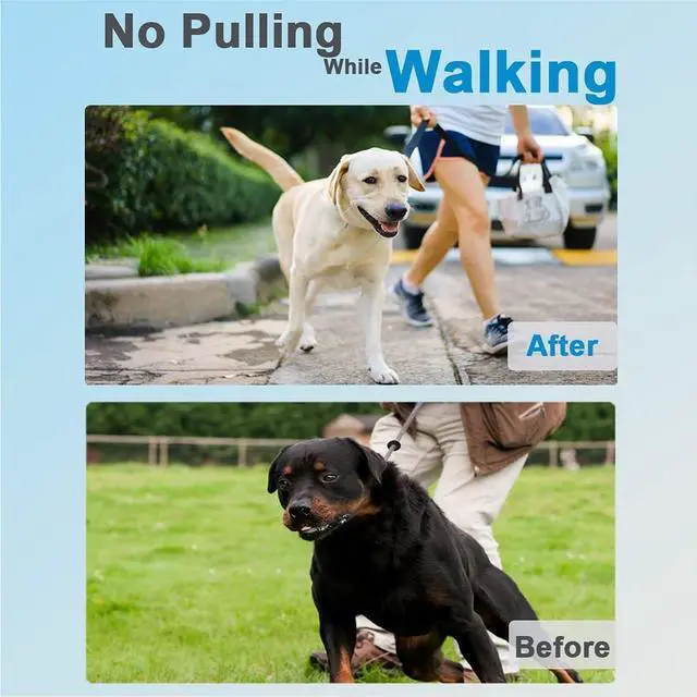 Alt view image 2 of 6 - Prong Collar for Dogs, Dog Training Collar for Small Medium Large Dogs